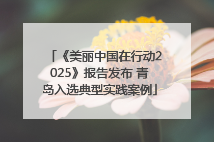 《美丽中国在行动2025》报告发布 青岛入选典型实践案例