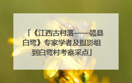 《江西古村落——赣县白鹭》专家学者及摄影组到白鹭村考察采点