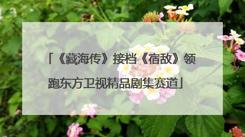 《藏海传》接档《宿敌》领跑东方卫视精品剧集赛道
