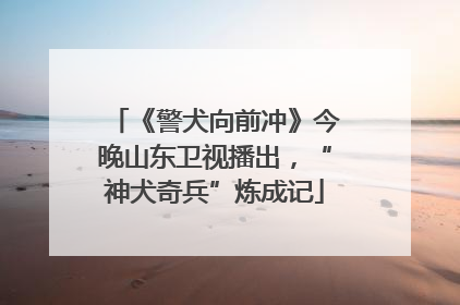 《警犬向前冲》今晚山东卫视播出，“神犬奇兵”炼成记