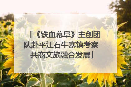 《铁血幕阜》主创团队赴平江石牛寨镇考察 共商文旅融合发展