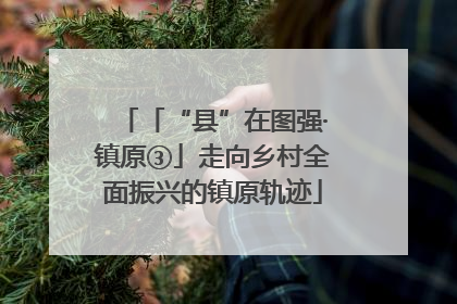 「“县”在图强·镇原③」走向乡村全面振兴的镇原轨迹