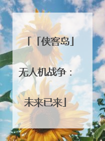 「侠客岛」无人机战争：未来已来