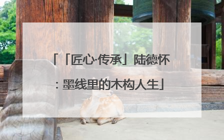 「匠心·传承」陆德怀：墨线里的木构人生