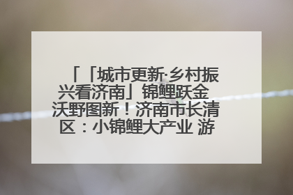 「城市更新·乡村振兴看济南」锦鲤跃金 沃野图新！济南市长清区：小锦鲤大产业 游出农旅新风景