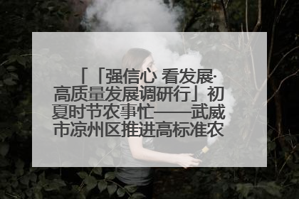 「强信心 看发展·高质量发展调研行」初夏时节农事忙——武威市凉州区推进高标准农田建设见闻