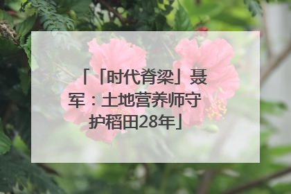 「时代脊梁」聂军：土地营养师守护稻田28年