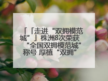 「走进“双拥模范城”」株洲8次荣获“全国双拥模范城”称号 厚植“双拥”沃土谱新篇