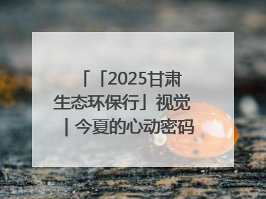「2025甘肃生态环保行」视觉｜今夏的心动密码，藏在冰沟河的潋滟波光里