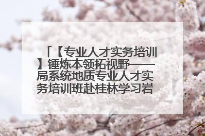 【专业人才实务培训】锤炼本领拓视野——局系统地质专业人才实务培训班赴桂林学习岩溶地质防灾与韧性城市建设前沿实践