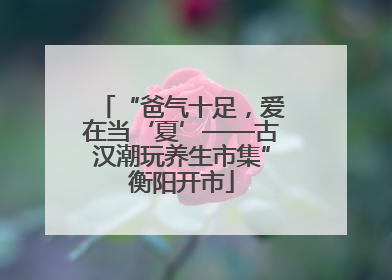 “爸气十足，爱在当‘夏’——古汉潮玩养生市集”衡阳开市