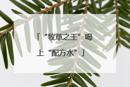 “牧草之王”喝上“配方水”