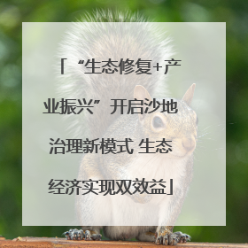 “生态修复+产业振兴”开启沙地治理新模式 生态经济实现双效益