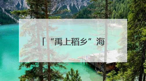 “禹上稻乡”海外“圈粉” 19名外国学员探访余杭共富“稻”路