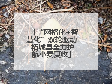 “网格化+智慧化”双轮驱动 柘城县全力护航小麦夏收