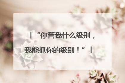 “你管我什么级别，我能抓你的级别！”