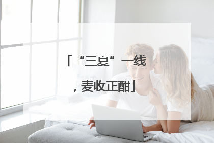 “三夏”一线，麦收正酣