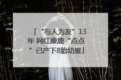 “与人为友”13年 网红麋鹿“点点”已产下8胎幼崽
