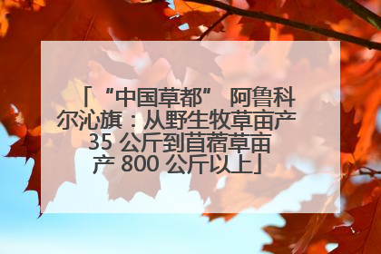 “中国草都” 阿鲁科尔沁旗：从野生牧草亩产 35 公斤到苜蓿草亩产 800 公斤以上