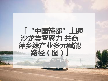 “中国辣都”主题沙龙集智聚力 共商萍乡辣产业多元赋能路径（图）