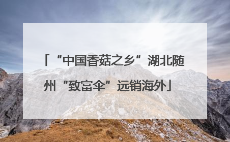 “中国香菇之乡”湖北随州“致富伞”远销海外