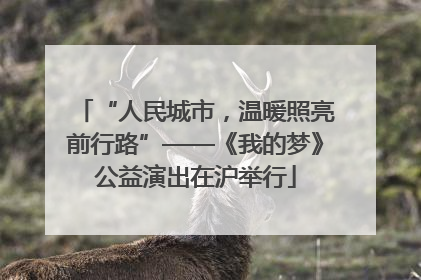 “人民城市，温暖照亮前行路”——《我的梦》公益演出在沪举行