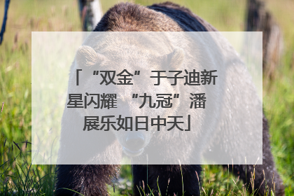 “双金”于子迪新星闪耀 “九冠”潘展乐如日中天