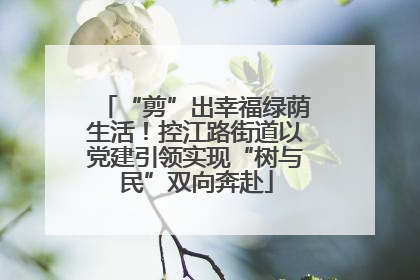“剪”出幸福绿荫生活！控江路街道以党建引领实现“树与民”双向奔赴