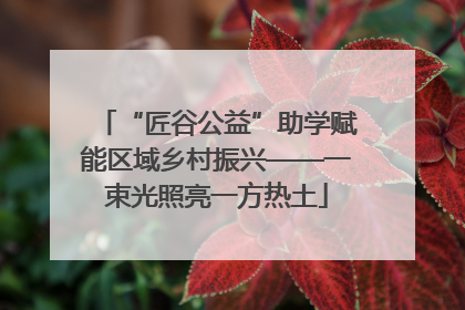 “匠谷公益”助学赋能区域乡村振兴——一束光照亮一方热土