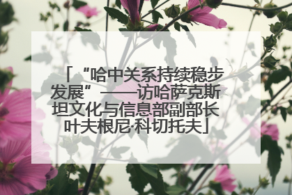 “哈中关系持续稳步发展”——访哈萨克斯坦文化与信息部副部长叶夫根尼·科切托夫