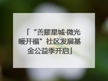 “善耀星城·微光暖开福”社区发展基金公益季开启