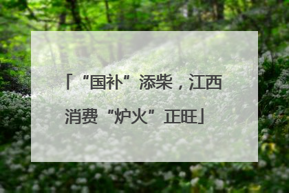 “国补”添柴，江西消费“炉火”正旺