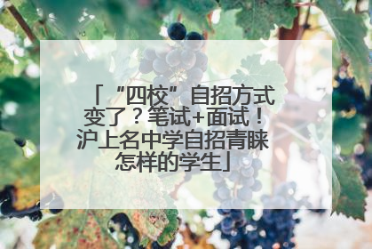 “四校”自招方式变了？笔试+面试！沪上名中学自招青睐怎样的学生