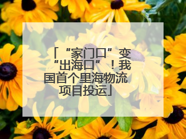 “家门口”变“出海口”！我国首个里海物流项目投运
