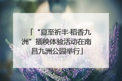 “夏至祈丰·稻香九洲”插秧体验活动在南昌九洲公园举行