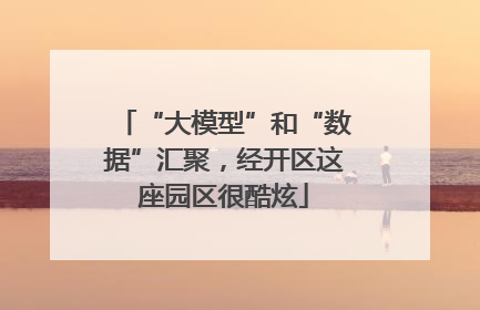 “大模型”和“数据”汇聚，经开区这座园区很酷炫