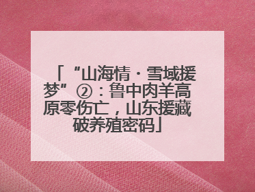 “山海情・雪域援梦”②：鲁中肉羊高原零伤亡，山东援藏破养殖密码