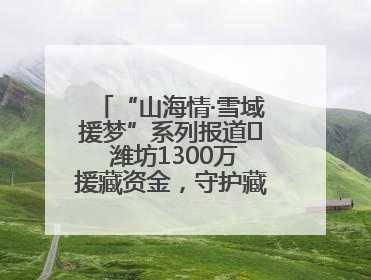 “山海情·雪域援梦”系列报道⑪ 潍坊1300万援藏资金，守护藏区群众健康“最后一公里”