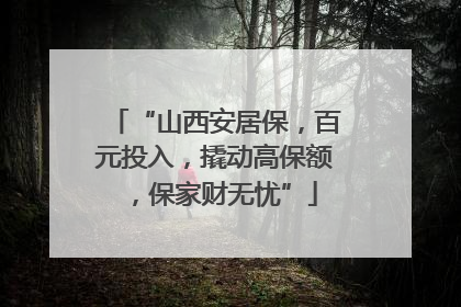 “山西安居保，百元投入，撬动高保额，保家财无忧”