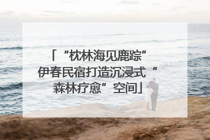 “枕林海见鹿踪” 伊春民宿打造沉浸式“森林疗愈”空间