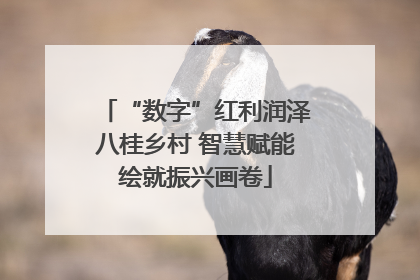 “数字”红利润泽八桂乡村 智慧赋能绘就振兴画卷