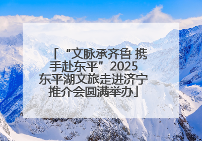 “文脉承齐鲁 携手赴东平”2025东平湖文旅走进济宁推介会圆满举办