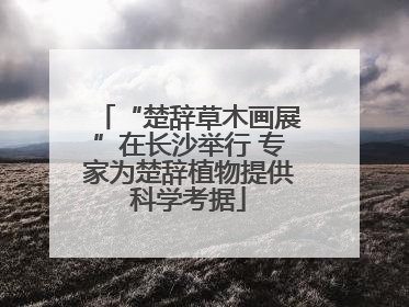 “楚辞草木画展”在长沙举行 专家为楚辞植物提供科学考据