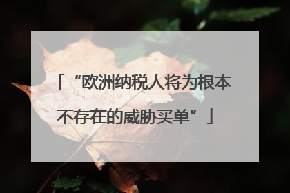 “欧洲纳税人将为根本不存在的威胁买单”