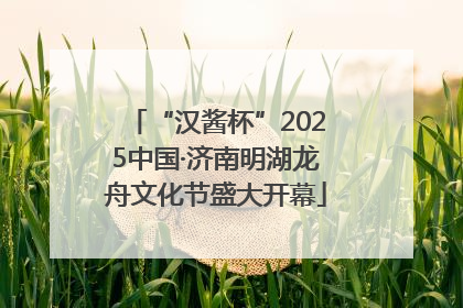“汉酱杯”2025中国·济南明湖龙舟文化节盛大开幕