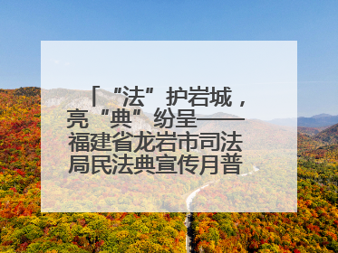 “法”护岩城，亮“典”纷呈——福建省龙岩市司法局民法典宣传月普法活动纪实
