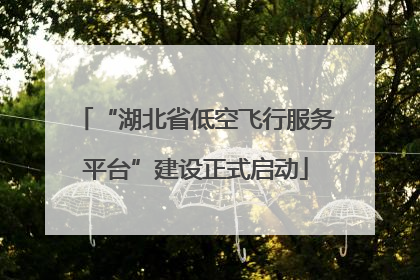 “湖北省低空飞行服务平台”建设正式启动
