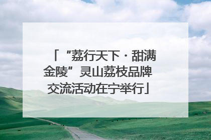 “荔行天下・甜满金陵”灵山荔枝品牌交流活动在宁举行