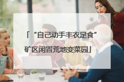 “自己动手丰衣足食”矿区闲置荒地变菜园