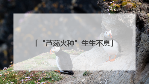 “芦荡火种”生生不息